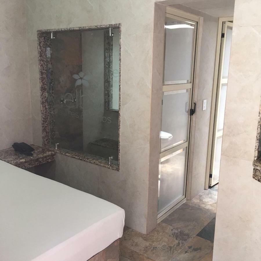 Hotel & Suites Elba Толука-де-Лердо Экстерьер фото